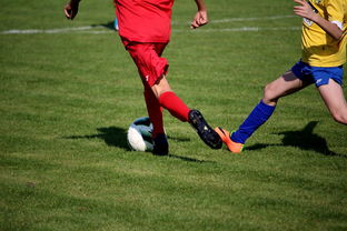 开云电子-NBA球员训练计划优化设计，nba运动员训练计划